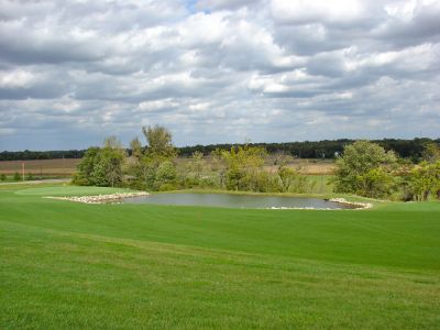 Course (17)